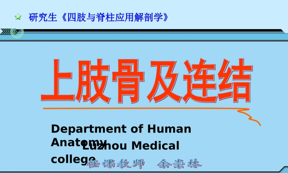 上肢骨及连结.ppt