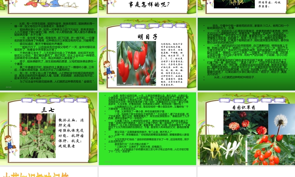 中草药的小故事.ppt