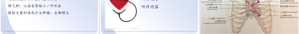 健康评估——心脏评估.ppt