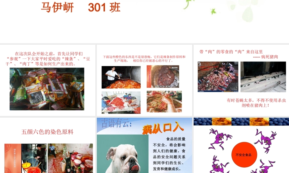 关注食品安全防止病从口入-马伊岍.ppt