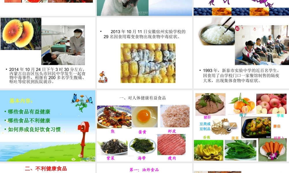 关注食品安全防止病从口入-马伊岍.ppt