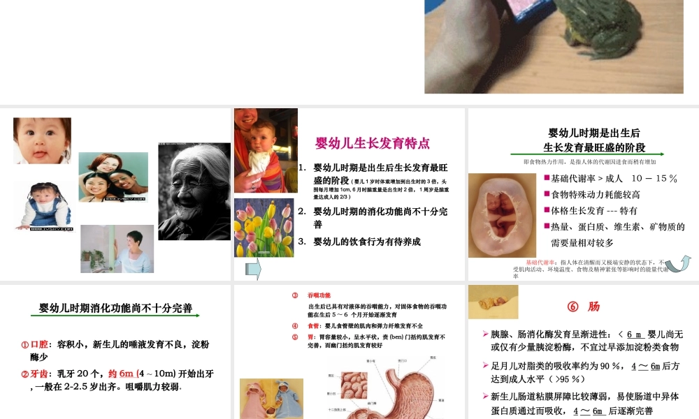 儿童青少年营养.ppt