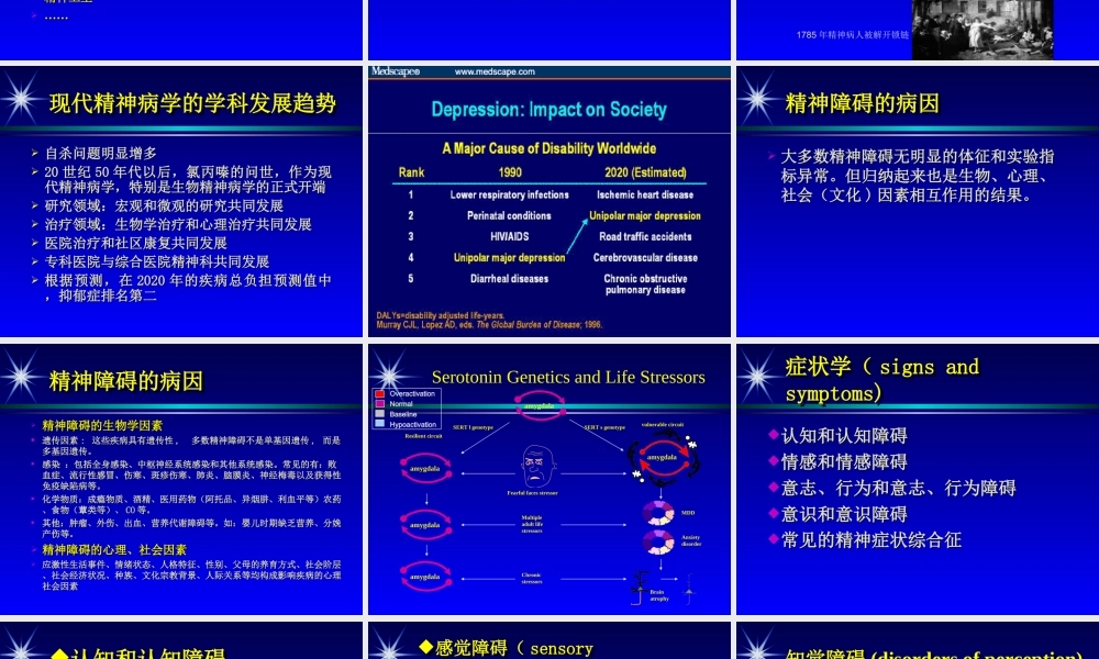 全科精神病学总论.ppt