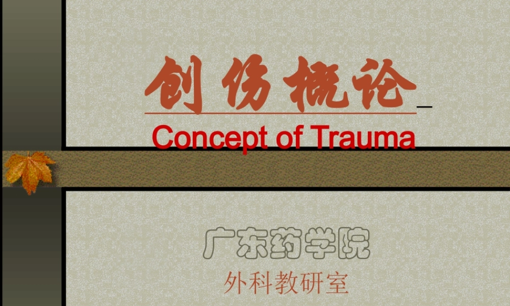 创伤概论.ppt