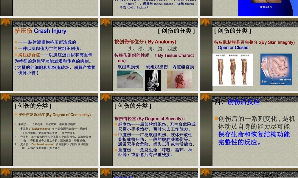 创伤概论.ppt