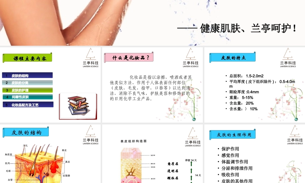 化妆品与皮肤知识.ppt