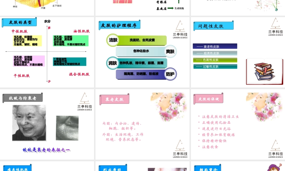 化妆品与皮肤知识.ppt