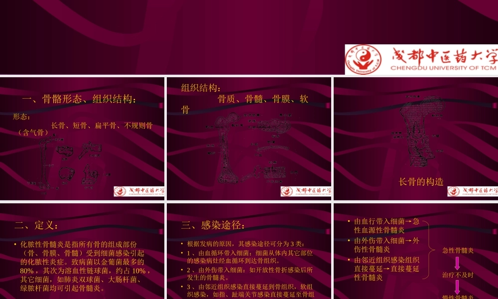 化脓性骨性髓炎-1.ppt