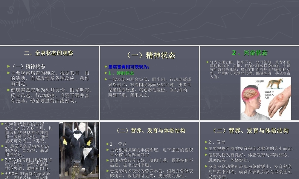 动物整体及一般检查-正大兽药-帮助养殖.ppt