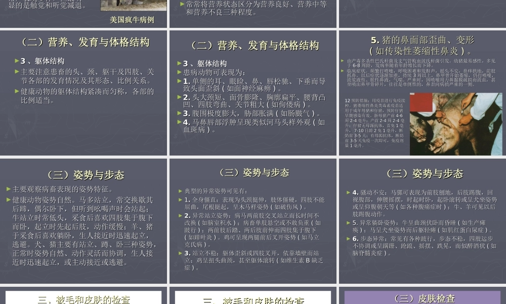 动物整体及一般检查-正大兽药-帮助养殖.ppt