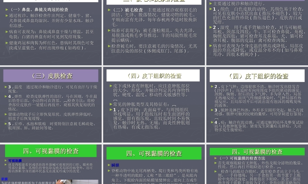 动物整体及一般检查-正大兽药-帮助养殖.ppt