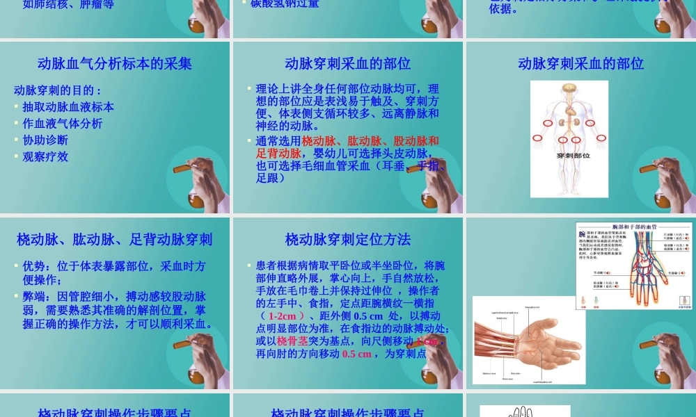 动脉血气分析(王永婷)讲诉.ppt