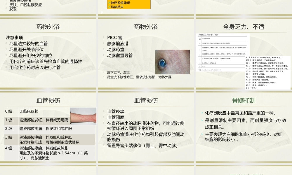 化疗并发症1.pptx