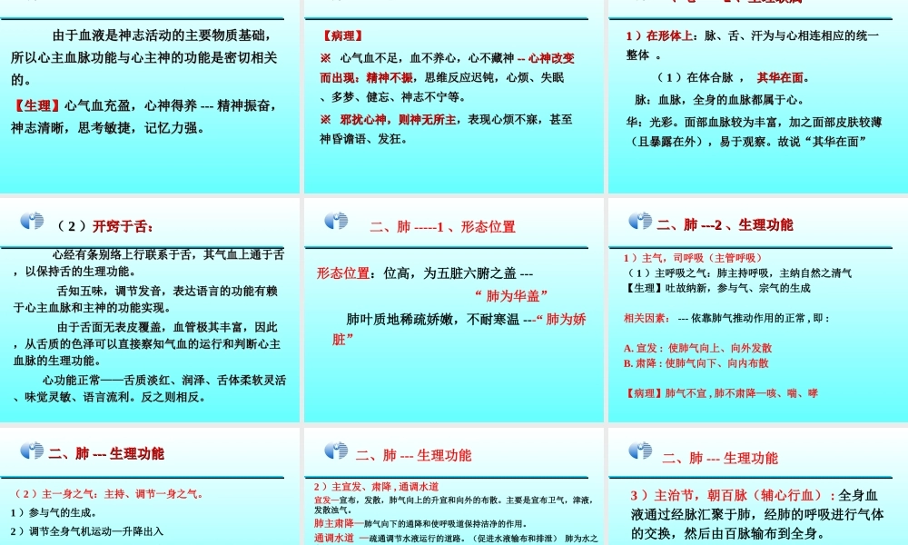 中国传统康复--藏象-脏腑.ppt