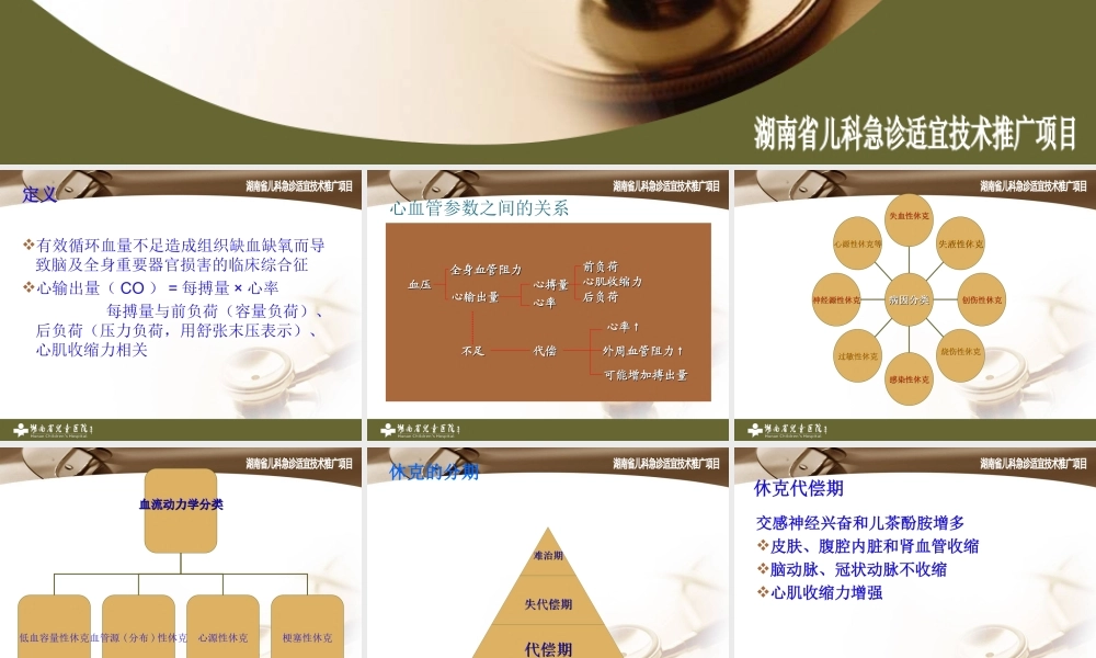 儿童休克的处理.ppt