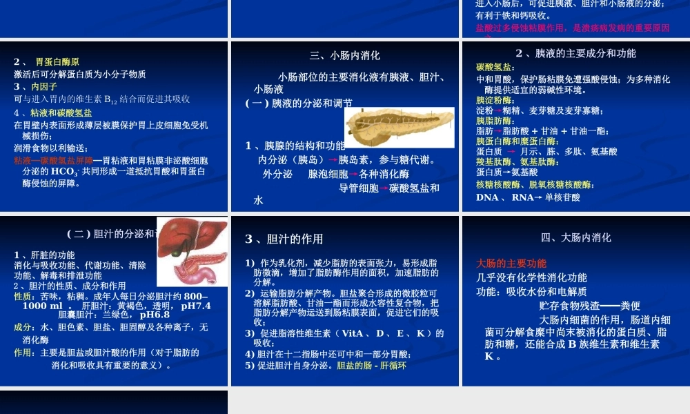 六消化系统.pptx