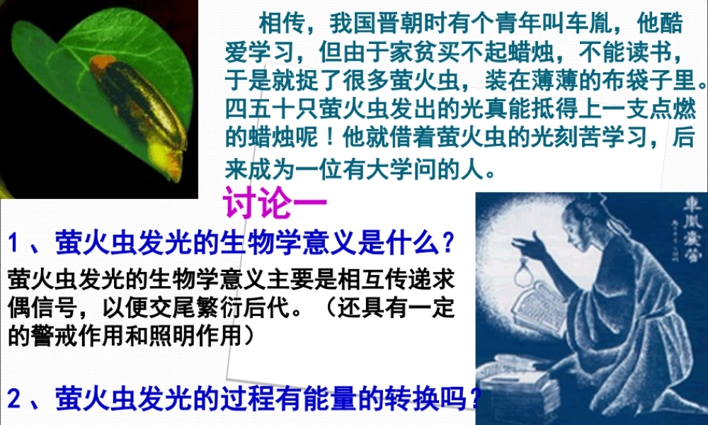 公开课细胞的能量通货ATP.ppt