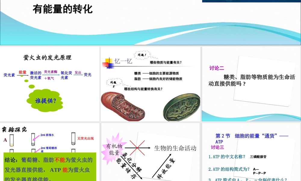 公开课细胞的能量通货ATP.ppt
