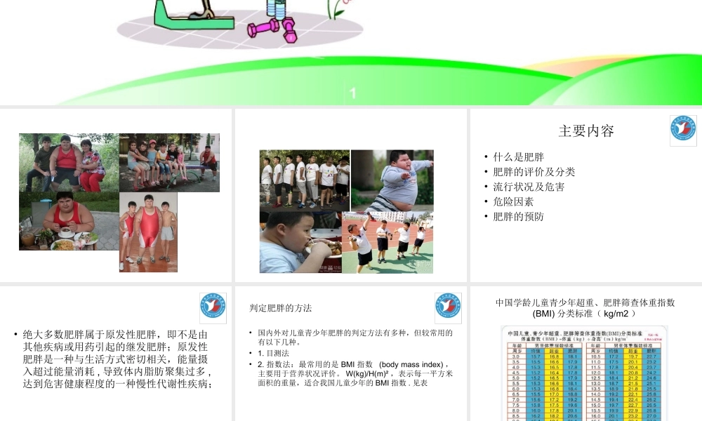 儿童青少年的控制体重.ppt