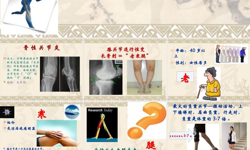 健康知识讲座膝关节.ppt