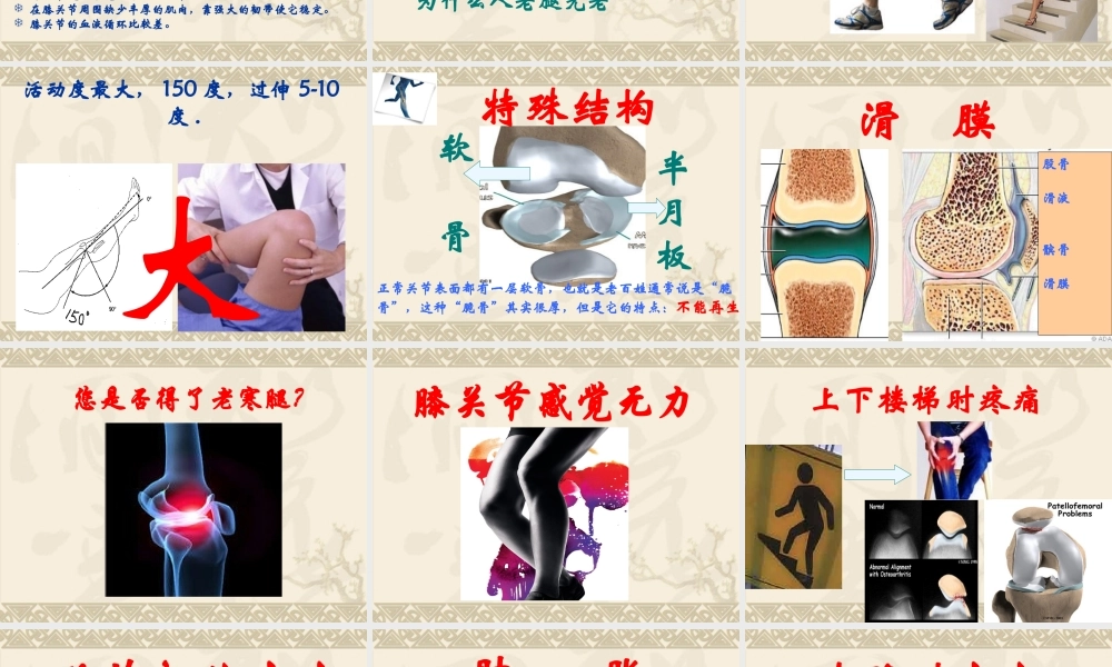 健康知识讲座膝关节.ppt