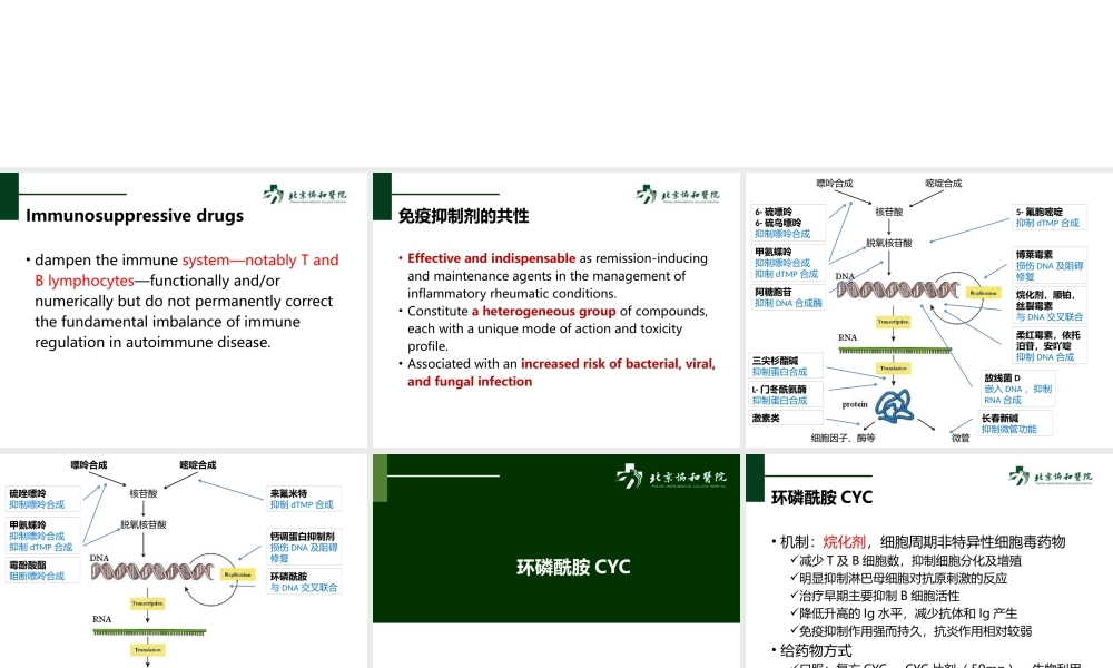 免疫抑制剂在风湿病的应用.pptx