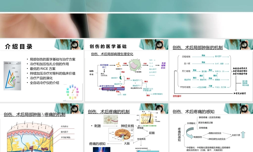 全自动加压冷疗仪(骨科专业版).ppt