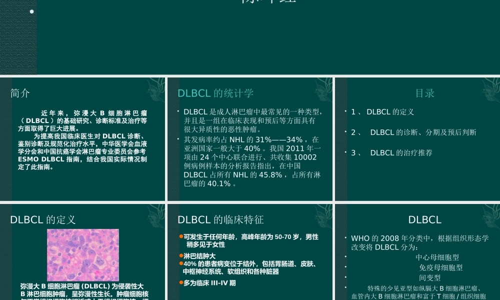 中国弥漫大B细胞淋巴瘤诊疗指南.pptx
