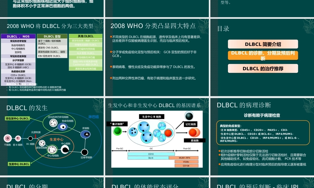 中国弥漫大B细胞淋巴瘤诊疗指南.pptx