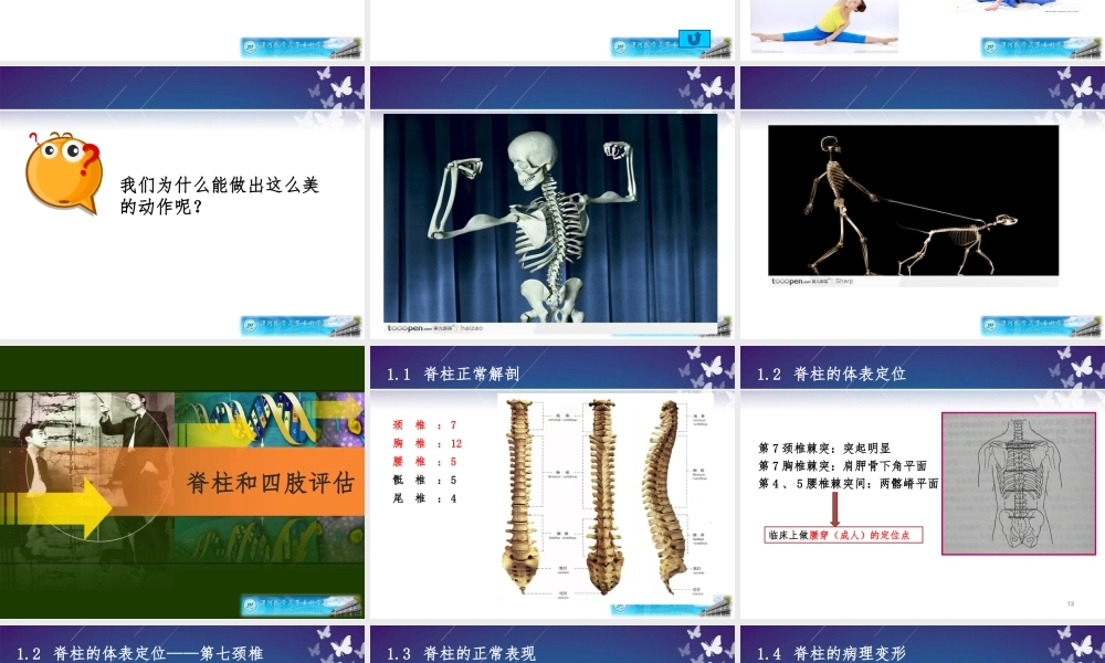 健康评估——脊柱和四肢评估.ppt