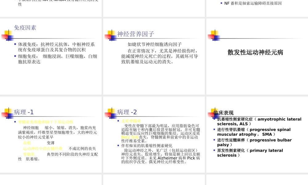 傅健分析——运动神经元病-发病机理大纲.ppt