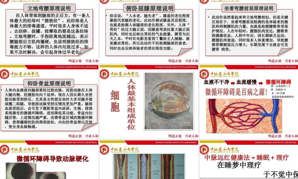 中脉床垫睡眠系统介绍.ppt