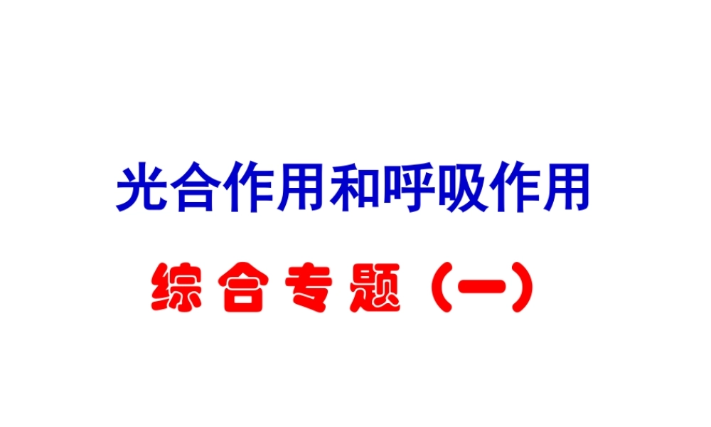 光合与呼吸典型高考题分析.ppt
