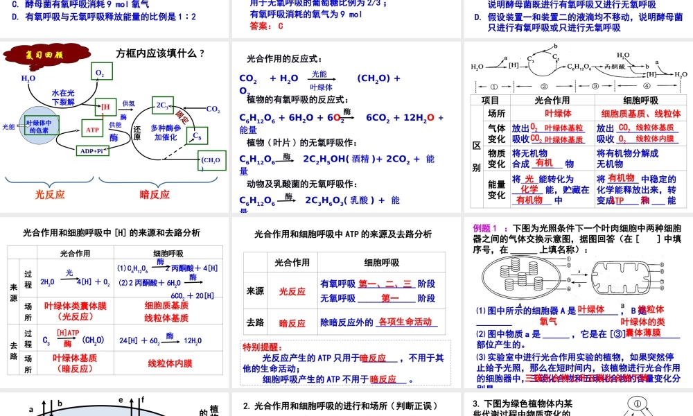 光合与呼吸典型高考题分析.ppt