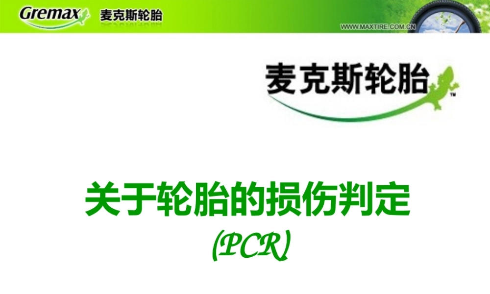 关于轿车用的轮胎的损伤判定.ppt