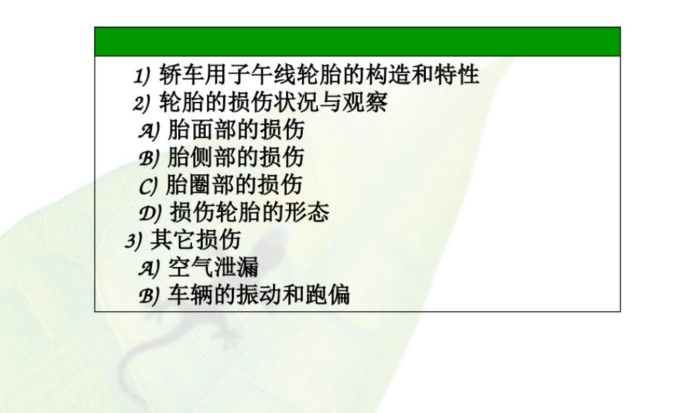 关于轿车用的轮胎的损伤判定.ppt