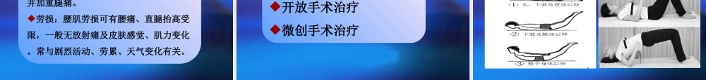腰椎间盘突出症(zyg).ppt