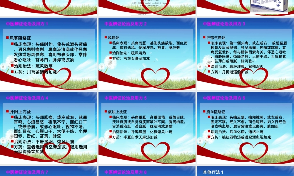 偏头痛的防治与调护.ppt