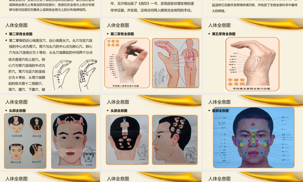 全息诊疗法概述.pptx