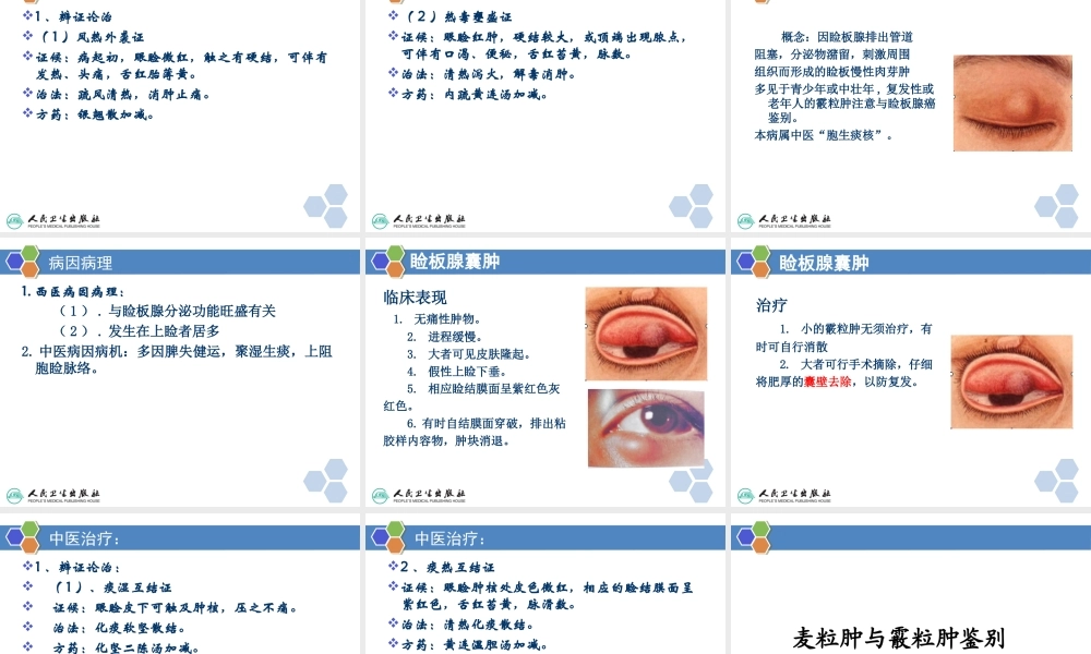 中西医眼睑病.ppt