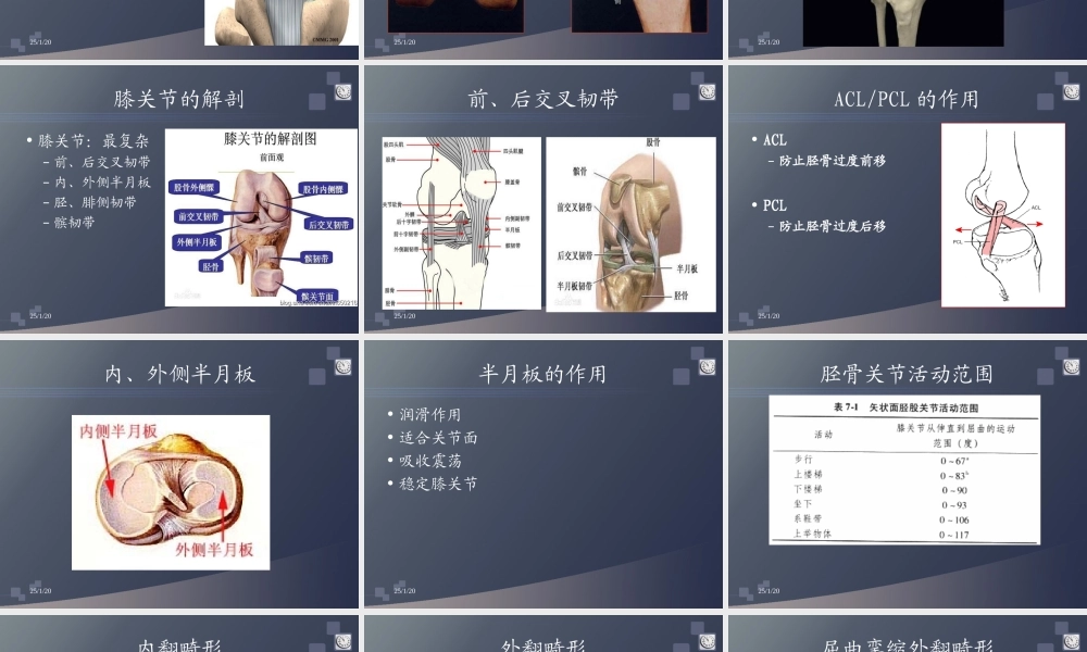 全膝关节置换术后的康复.ppt