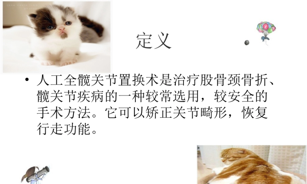 全髋关节置换术后的功能锻炼.ppt