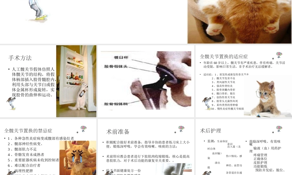 全髋关节置换术后的功能锻炼.ppt