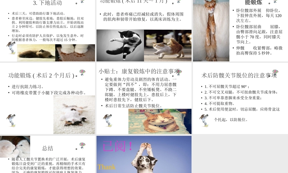 全髋关节置换术后的功能锻炼.ppt