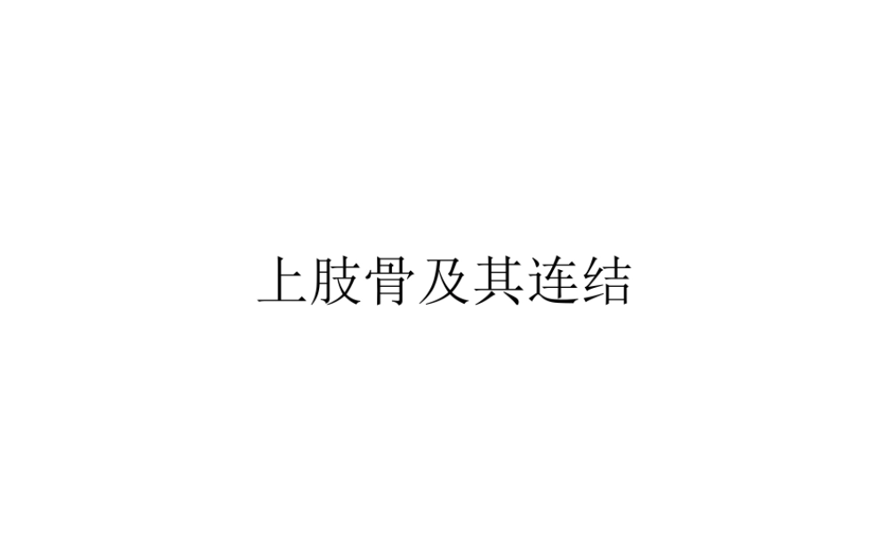 上肢骨及其连结.ppt