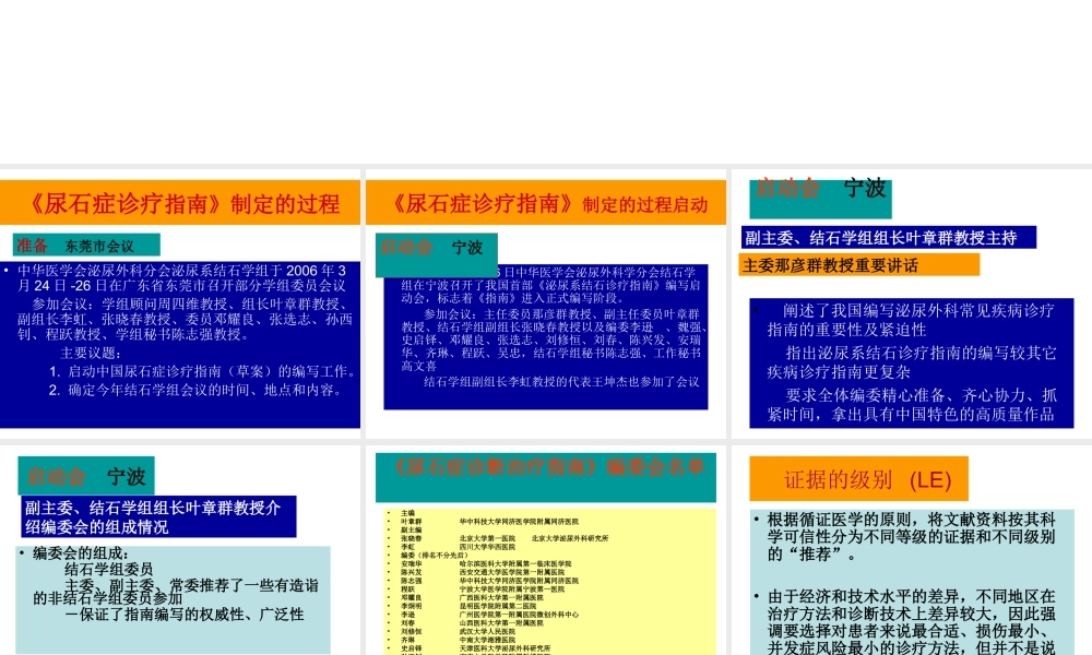 中国尿石症诊疗指南.ppt