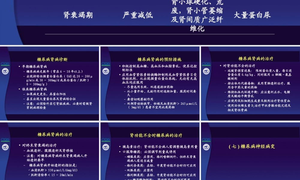 中国糖尿病防治指南第10讲-3.ppt