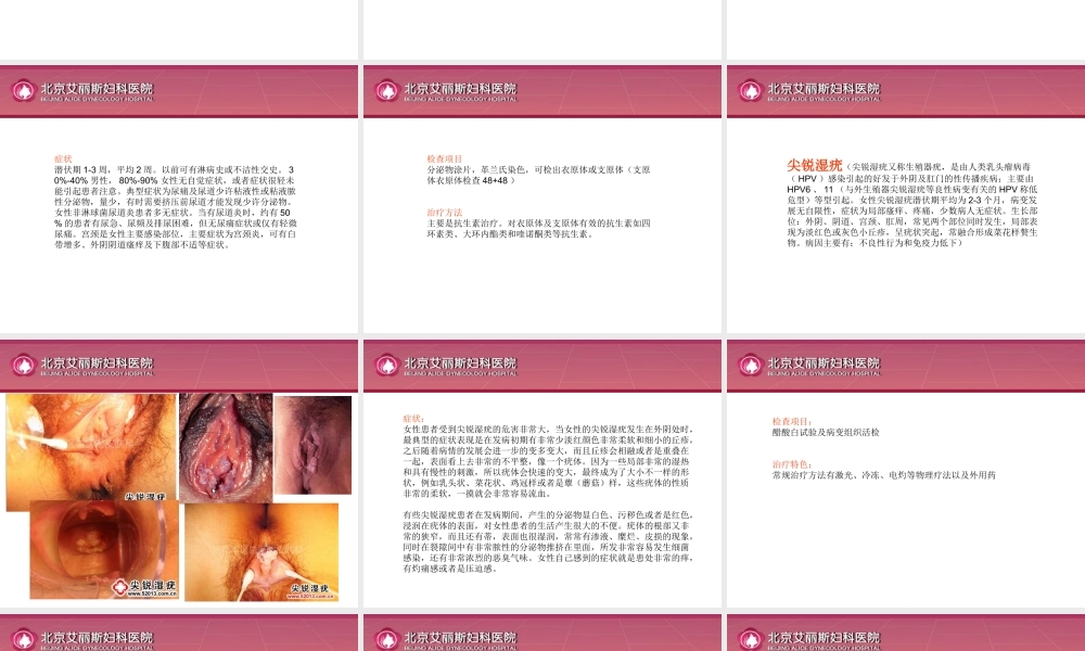 女性性病、外阴病变.ppt