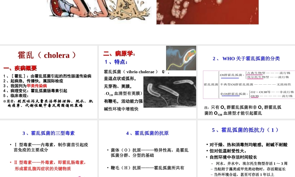 宠物源人兽共患病——霍乱讲义.ppt