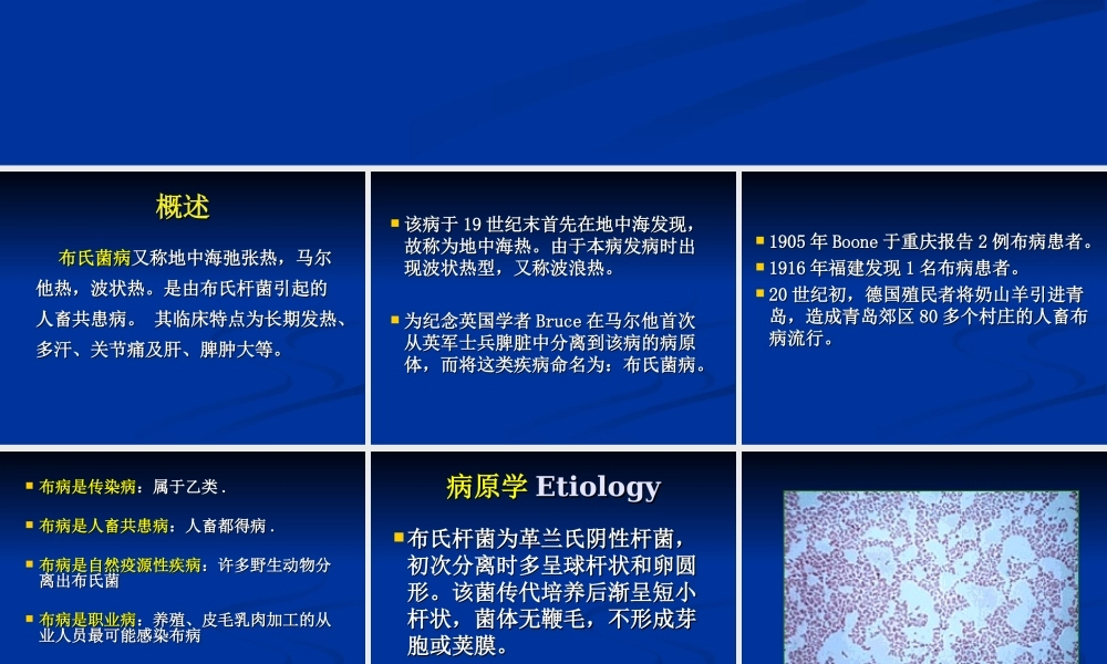 布氏肝菌病(人兽共患病).ppt